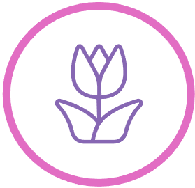 Plants & Flowers