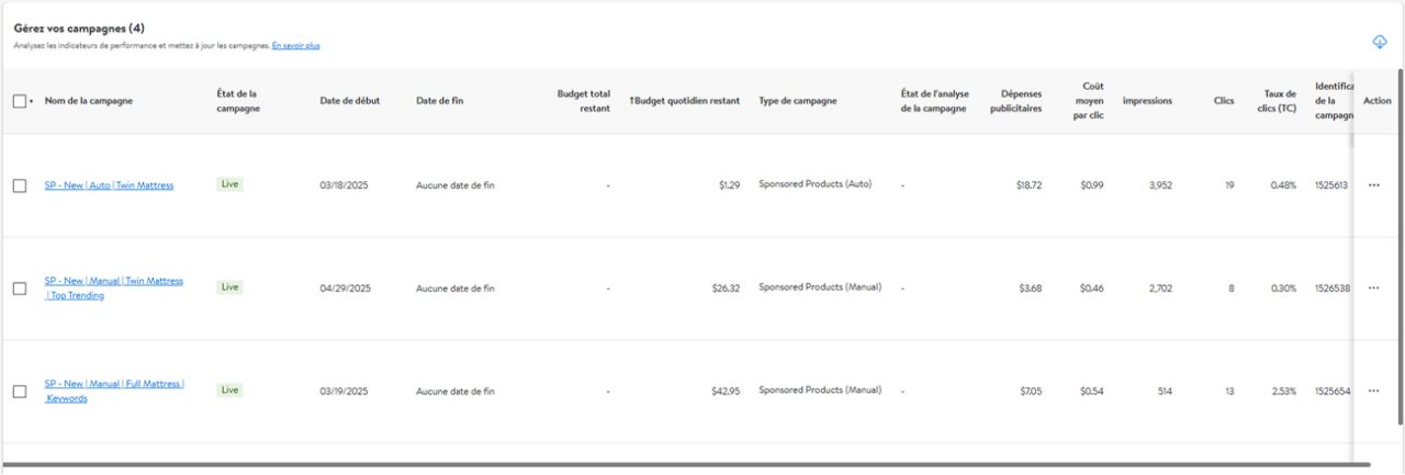 Manage Your Campaign