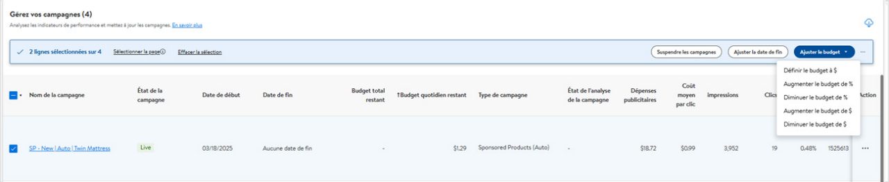 Manage Your Campaign