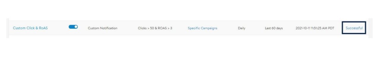 How to view successful past rule actions